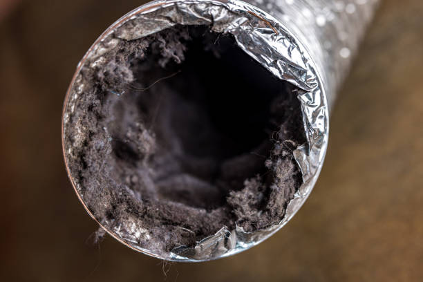 Best Affordable HVAC Duct Cleaning  in Dupont, WA