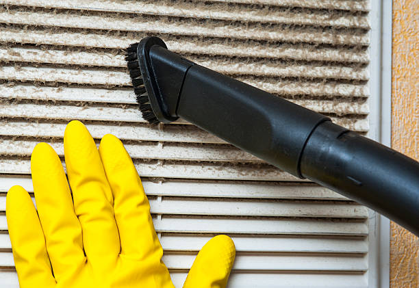Best Local Air Duct Cleaning Services  in Dupont, WA